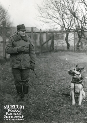 1. Tytuł tematu: psy służbowe 
2. Opis obrazu: trening psa służbowego
3. Data wydarzenia: lata 80. XX w.
4. Osoby widoczne: st. sierż. szt. Szczepan Buśko  
5. Hasła przedmiotowe: Wojska Ochrony Pogranicza, szkolenie 
6. Opis techniczny: 13 cm × 18 cm, oryginał, czarnobiałe
7. Autor: Krzysztof Niemiec 
8. Miejsce przechowywania/właściciel: Archiwum Straży Granicznej w Szczecinie