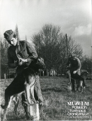 1. Tytuł tematu: psy służbowe 
2. Opis obrazu: trening psa służbowego
3. Data wydarzenia: lata 70. XX w.
4. Osoby widoczne: brak danych 
5. Hasła przedmiotowe: Wojska Ochrony Pogranicza, szkolenie 
6. Opis techniczny: 18 cm × 23.5 cm, oryginał, czarnobiałe
7. Autor: brak danych 
8. Miejsce przechowywania/właściciel: Archiwum Straży Granicznej w Szczecinie