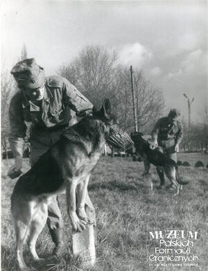 1. Tytuł tematu: psy służbowe 
2. Opis obrazu: pielęgnacja psów służbowych 
3. Data wydarzenia: lata 70. XX w.
4. Osoby widoczne: brak danych 
5. Hasła przedmiotowe: Wojska Ochrony Pogranicza, szkolenie 
6. Opis techniczny: 18 cm × 23.5 cm, oryginał, czarnobiałe
7. Autor: brak danych 
8. Miejsce przechowywania/właściciel: Archiwum Straży Granicznej w Szczecinie