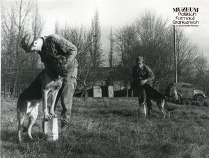 1. Tytuł tematu: psy służbowe 
2. Opis obrazu: pielęgnacja psów służbowych
3. Data wydarzenia: lata 70. XX w.
4. Osoby widoczne: brak danych 
5. Hasła przedmiotowe: Wojska Ochrony Pogranicza, szkolenie 
6. Opis techniczny: 23.5 cm × 18 cm, oryginał, czarnobiałe
7. Autor: Zbigniew Dobrzański 
8. Miejsce przechowywania/właściciel: Archiwum Straży Granicznej w Szczecinie