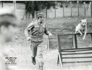 1. Tytuł tematu: psy służbowe 
2. Opis obrazu: trening psa służbowego 
3. Data wydarzenia: lata 70. XX w.
4. Osoby widoczne: brak danych 
5. Hasła przedmiotowe: Wojska Ochrony Pogranicza, szkolenie 
6. Opis techniczny: 24 cm × 18 cm, oryginał, czarnobiałe
7. Autor: brak danych 
8. Miejsce przechowywania/właściciel: Archiwum Straży Granicznej w Szczecinie