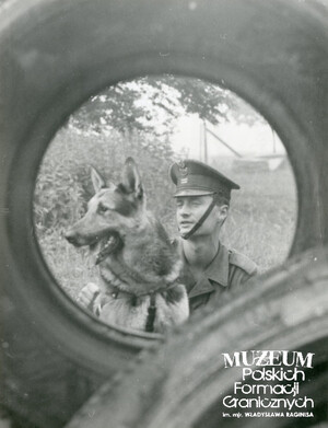 1. Tytuł tematu: psy służbowe 
2. Opis obrazu: trening psa służbowego (Ośrodek Tresury Psów Służbowych Żarka, Łużycka Brygada Wojsk Ochrony Pogranicza)
3. Data wydarzenia: 23.09.1988 r.
4. Osoby widoczne: brak danych 
5. Hasła przedmiotowe: Wojska Ochrony Pogranicza, szkolenie 
6. Opis techniczny: 18 cm × 23.5 cm, oryginał, czarnobiałe
7. Autor: brak danych
8. Miejsce przechowywania/właściciel: Archiwum Straży Granicznej w Szczecinie