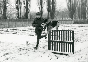 1. Tytuł tematu: psy służbowe 
2. Opis obrazu: trening psa służbowego
3. Data wydarzenia: lata 70. XX w.
4. Osoby widoczne: brak danych 
5. Hasła przedmiotowe: Wojska Ochrony Pogranicza, szkolenie 
6. Opis techniczny: 17.5 cm × 13 cm, oryginał, czarnobiałe
7. Autor: brak danych 
8. Miejsce przechowywania/właściciel: Archiwum Straży Granicznej w Szczecinie