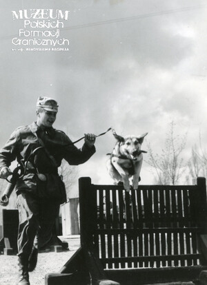 1. Tytuł tematu: psy służbowe 
2. Opis obrazu: trening psa służbowego
3. Data wydarzenia: lata 70. XX w.
4. Osoby widoczne: brak danych 
5. Hasła przedmiotowe: Wojska Ochrony Pogranicza, szkolenie 
6. Opis techniczny: 10.5 cm × 14.5 cm, oryginał, czarnobiałe
7. Autor: brak danych 
8. Miejsce przechowywania/właściciel: Archiwum Straży Granicznej w Szczecinie