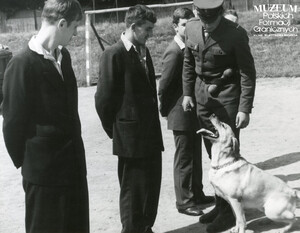 1. Tytuł tematu: psy służbowe 
2. Opis obrazu: trening psa służbowego (sygnalizowanie wykrycia ukrytych narkotyków)
3. Data wydarzenia: 1976 r. 
4. Osoby widoczne: brak danych 
5. Hasła przedmiotowe: Wojska Ochrony Pogranicza, szkolenie 
6. Opis techniczny: 7 cm × 17 cm, oryginał, czarnobiałe
7. Autor: Henryk Piecuch 
8. Miejsce przechowywania/właściciel: Archiwum Straży Granicznej w Szczecinie