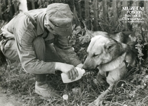 1. Tytuł tematu: psy służbowe 
2. Opis obrazu: pojenie psa służbowego
3. Data wydarzenia: lata 70. XX w.
4. Osoby widoczne: brak danych 
5. Hasła przedmiotowe: Wojska Ochrony Pogranicza, szkolenie 
6. Opis techniczny: 18 cm × 13 cm, oryginał, czarnobiałe
7. Autor: Zbigniew Dobrzański
8. Miejsce przechowywania/właściciel: Archiwum Straży Granicznej w Szczecinie