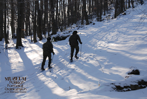 1. Tytuł tematu: patrol w warunkach zimowych
2. Opis obrazu: funkcjonariusze Placówki Straży Granicznej w Ustrzykach Górnych (Bieszczadzki Oddział SG) podczas patrolu granicznego w terenie
3. Data wydarzenia: 02.02.2009 r.
4. Osoby widoczne: brak danych
5. Hasła przedmiotowe: Straż Graniczna, ochrona fizyczna
6. Opis techniczny: zdjęcie cyfrowe, kolor
7. Autor: Krzysztof Niemiec 
8. Miejsce przechowywania/właściciel: Archiwum Straży Granicznej w Szczecinie