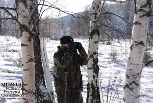 1. Tytuł tematu: patrol w warunkach zimowych
2. Opis obrazu: funkcjonariusz Placówki Straży Granicznej w Ustrzykach Górnych (Bieszczadzki Oddział SG) podczas patrolu granicznego w terenie
3. Data wydarzenia: 02.02.2009 r.
4. Osoby widoczne: brak danych
5. Hasła przedmiotowe: Straż Graniczna, ochrona fizyczna
6. Opis techniczny: zdjęcie cyfrowe, kolor
7. Autor: Krzysztof Niemiec 
8. Miejsce przechowywania/właściciel: Archiwum Straży Granicznej w Szczecinie