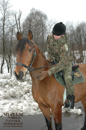 1. Tytuł tematu: patrol konny
2. Opis obrazu: funkcjonariusz Bieszczadzkiego Oddziału Straży Granicznej podczas patrolu konnego w terenie
3. Data wydarzenia: 13.02.2007 r.
4. Osoby widoczne: brak danych
5. Hasła przedmiotowe: Straż Graniczna, ochrona fizyczna
6. Opis techniczny: zdjęcie cyfrowe, kolor
7. Autor: Krzysztof Niemiec 
8. Miejsce przechowywania/właściciel: Archiwum Straży Granicznej w Szczecinie