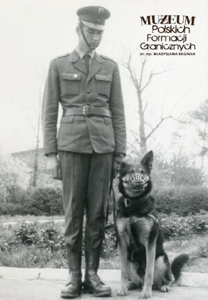 1. Tytuł tematu: psy służbowe 
2. Opis obrazu: żołnierz Wojsk Ochrony Pogranicza z psem służbowym  
3. Data wydarzenia: lata 70. XX w.
4. Osoby widoczne: brak danych
5. Hasła przedmiotowe: Wojska Ochrony Pogranicza, ochrona fizyczna
6. Opis techniczny: 13 cm × 18 cm, oryginał, czarnobiałe
7. Autor: brak danych
8. Miejsce przechowywania/właściciel: Archiwum Straży Granicznej w Szczecinie