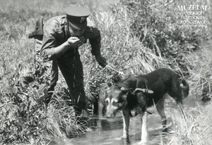 1. Tytuł tematu: psy służbowe 
2. Opis obrazu: żołnierz Wojsk Ochrony Pogranicza z psem służbowym
3. Data wydarzenia: lata 80. XX w.
4. Osoby widoczne: brak danych 
5. Hasła przedmiotowe: Wojska Ochrony Pogranicza, ochrona fizyczna
6. Opis techniczny: 18 cm × 12 cm, oryginał, czarnobiałe
7. Autor: brak danych
8. Miejsce przechowywania/właściciel: Archiwum Straży Granicznej w Szczecinie