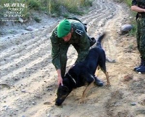 funkcjonariusze Straży Granicznej z psem tropiącym
