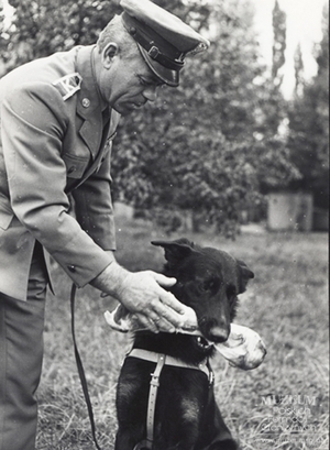 1. Tytuł tematu: psy służbowe
2. Opis obrazu: przewodnik nagradza psa
3. Data wydarzenia: brak danych
4. Osoby widoczne: sierżant sztabowy R. Tabor
5. Hasła przedmiotowe: kursy celowe, psy służbowe
6. Opis techniczny: 13 x 19 cm, oryginał, czarnobiałe
7. Autor: brak danych
8. Miejsce przechowywania/właściciel: Archiwum Straży Granicznej w Szczecinie