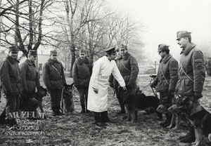 1. Tytuł tematu: psy służbowe
2. Opis obrazu: poranna kontrola weterynaryjna psów
3. Data wydarzenia: brak danych
4. Osoby widoczne: brak danych
5. Hasła przedmiotowe: kursy celowe, tresura psów
6. Opis techniczny: 19 x 13 cm, oryginał, czarnobiałe
7. Autor: L. Wróblewski
8. Miejsce przechowywania/właściciel: Archiwum Straży Granicznej w Szczecinie