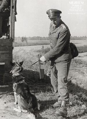 1. Tytuł tematu: psy służbowe
2. Opis obrazu: przewodnik st. sierż. Szczepan Buśko z psem służbowym Czukiem podczas I Konkursu Przewodników oraz Psów Śledczych WOP na terenie Zakładu Tresury Psów Służbowych w Zgorzelcu
3. Data wydarzenia: 1962 r.
4. Osoby widoczne: st. sierżant Szczepan Buśko
5. Hasła przedmiotowe: Wojska Ochrony Pogranicza, szkolenie 
6. Opis techniczny: 13 x 19 cm, oryginał, czarnobiałe
7. Autor: brak danych
8. Miejsce przechowywania/właściciel: Archiwum Straży Granicznej w Szczecinie