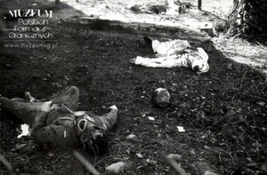 1. Tytuł: ćwiczenia
2. Opis obrazu: żołnierze zespołu medycznego Pomorskiej Brygady Wojsk Ochrony  Pogranicza podczas pozorowanego ataku chemicznego
3. Data wydarzenia: 1988 r.
4. Osoby widoczne: brak danych podczas
5. Hasła przedmiotowe: Wojska Ochrony Pogranicza, manewry
6. Opis techniczny: oryginał, czarnobiałe
7. Autor: brak danych
8. Miejsce przechowywania/właściciel: Archiwum Straży Granicznej w Szczecinie