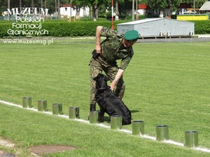 Funkcjonariusz z labradorem - wyszukiwanie narkotyków