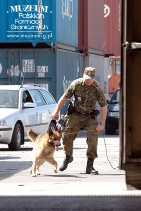 1. Tytuł tematu: pluton specjalny Straży Granicznej
2. Opis obrazu: wspólne ćwiczenia funkcjonariuszy Straży Granicznej i Policji 
3. Data wydarzenia: 2008 r.
4. Osoby widoczne: brak danych
5. Hasła przedmiotowe: Straż Graniczna, szkolenia
6. Opis techniczny: 15 × 10 cm, oryginał, kolorowe
7. Autor: brak danych
8. Miejsce przechowywania/właściciel: Placówka Straży Granicznej w Szczecinie